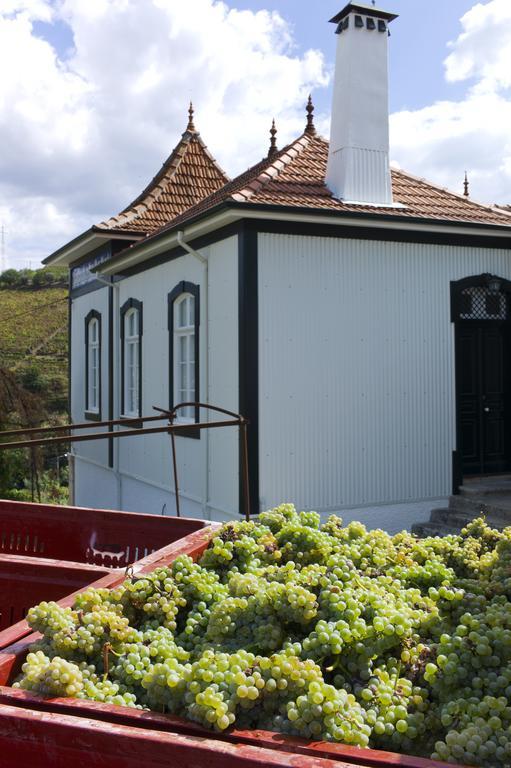 Casa De Cambres Pensionat Lamego Exteriör bild